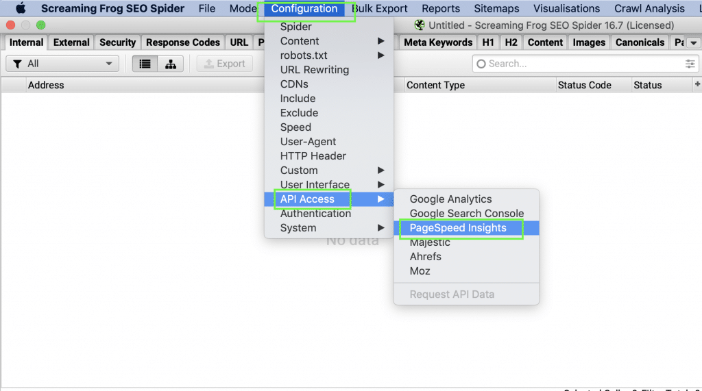 Screaming Frog Page Speed Insight Configuration