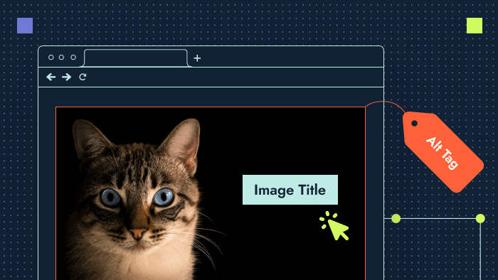 Image title vs alt text vs file name blog post
