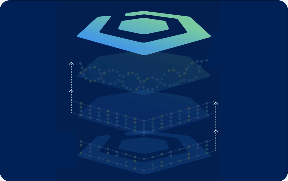 Brinqa case study graphic