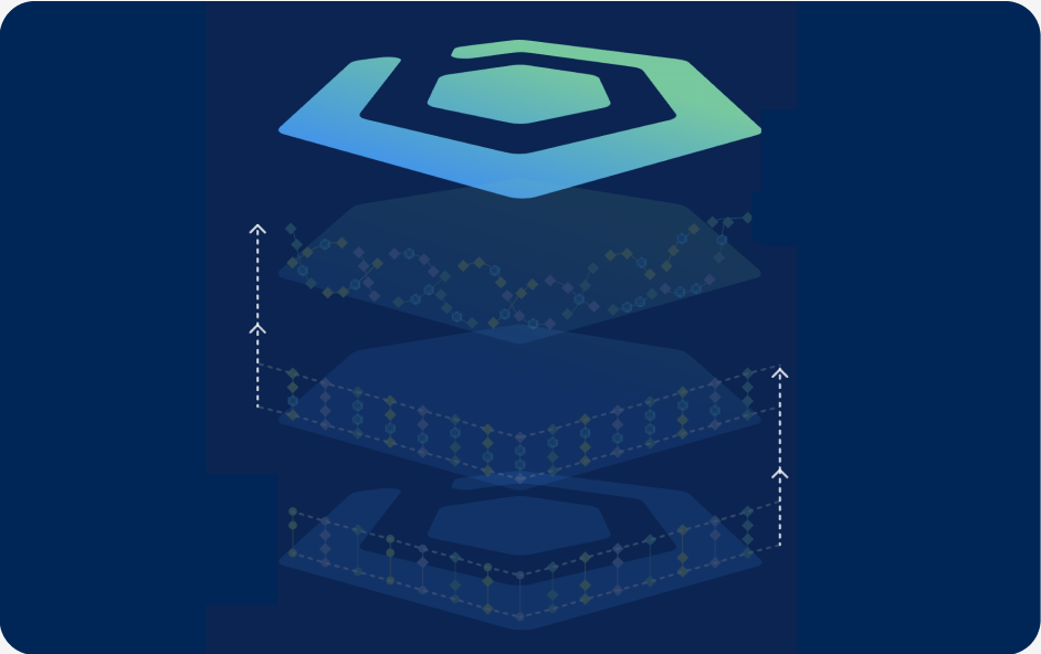 Brinqa case study graphic